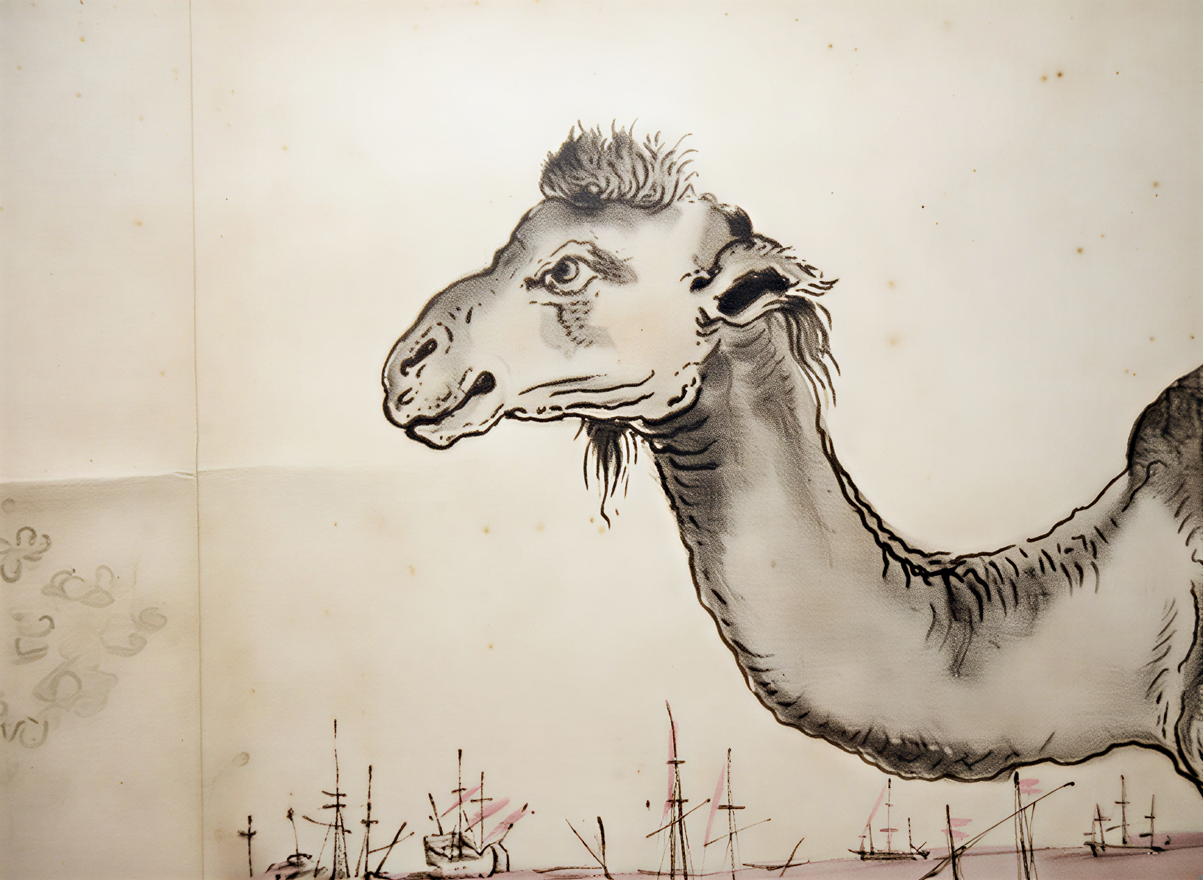 Dessin d'un chameau, œuvre de la Renaissance, exposée au Museo dell'Opera del Duomo à Pise, Toscane.